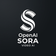 Sora AI